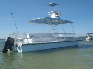 30-foot-tour-dive1  